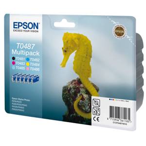 EPSON Originál SP R200/R220/R300/R340/RX500/RX640 pack 6f. - C13T04874010